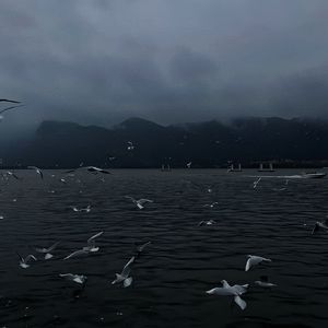 天天射天天干天天射天天干天天骑
