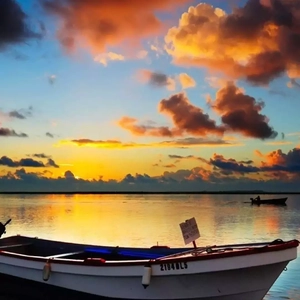 天天射天天干天天射天天干天天骑
